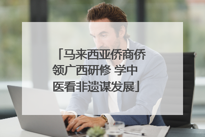 马来西亚侨商侨领广西研修 学中医看非遗谋发展